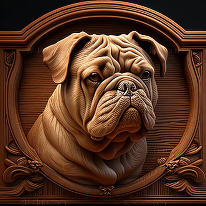 st Old English Bulldog newly created dog